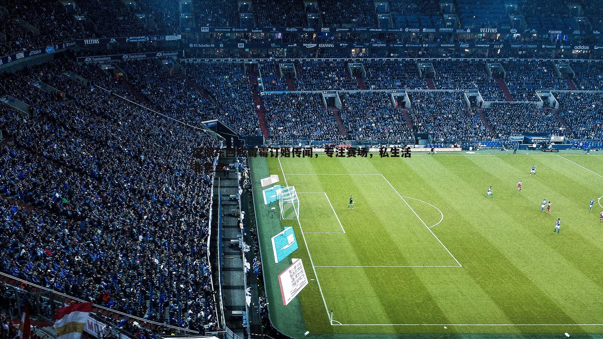 樊振东回应霉霉订婚传闻，专注赛场，私生活非焦点