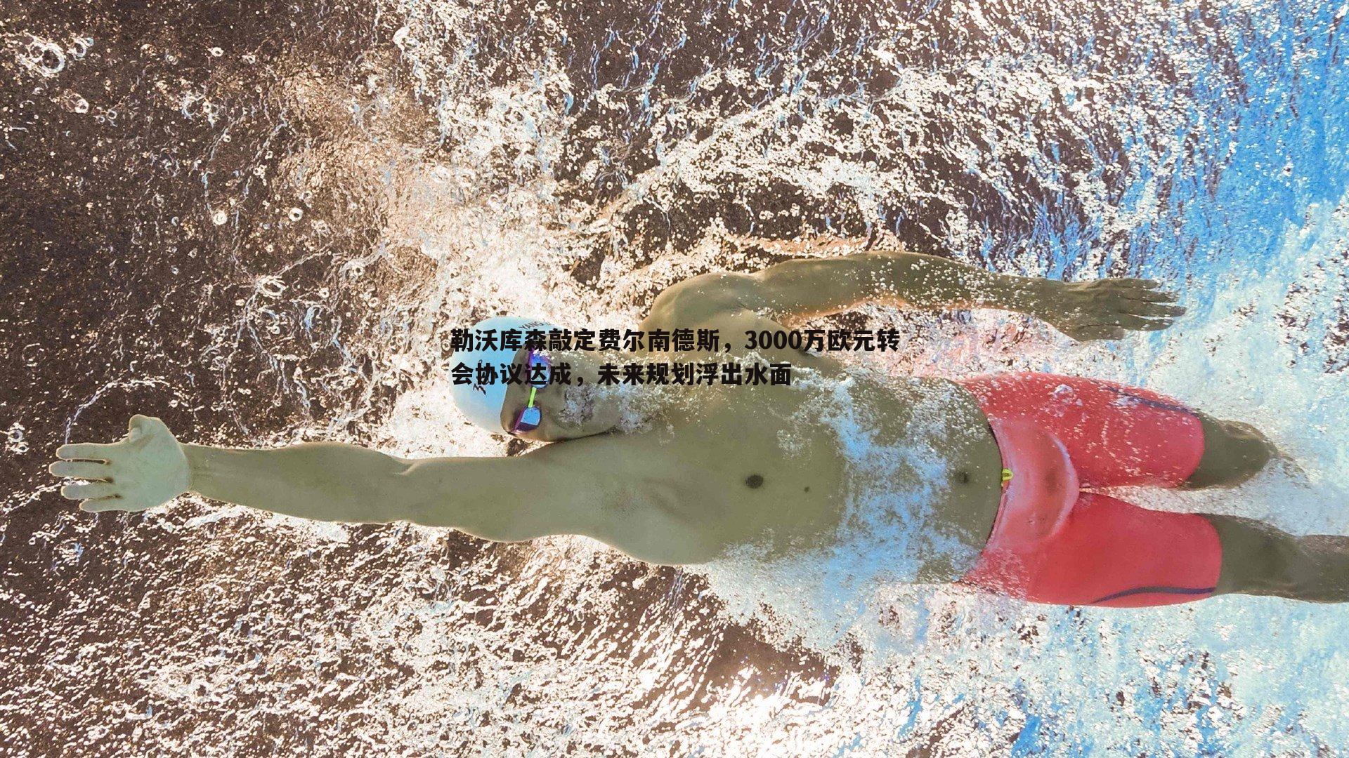 勒沃库森敲定费尔南德斯，3000万欧元转会协议达成，未来规划浮出水面